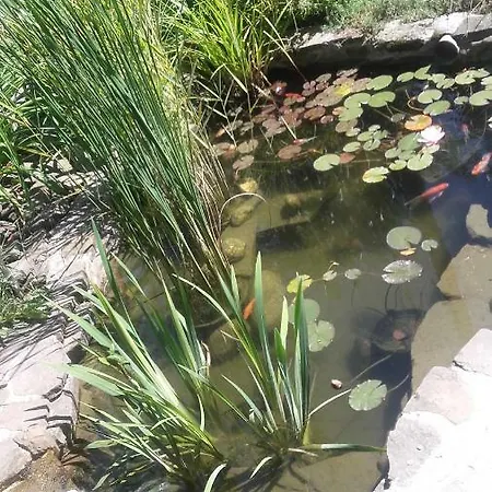 Hébergement de vacances Domek Pod Lasem *